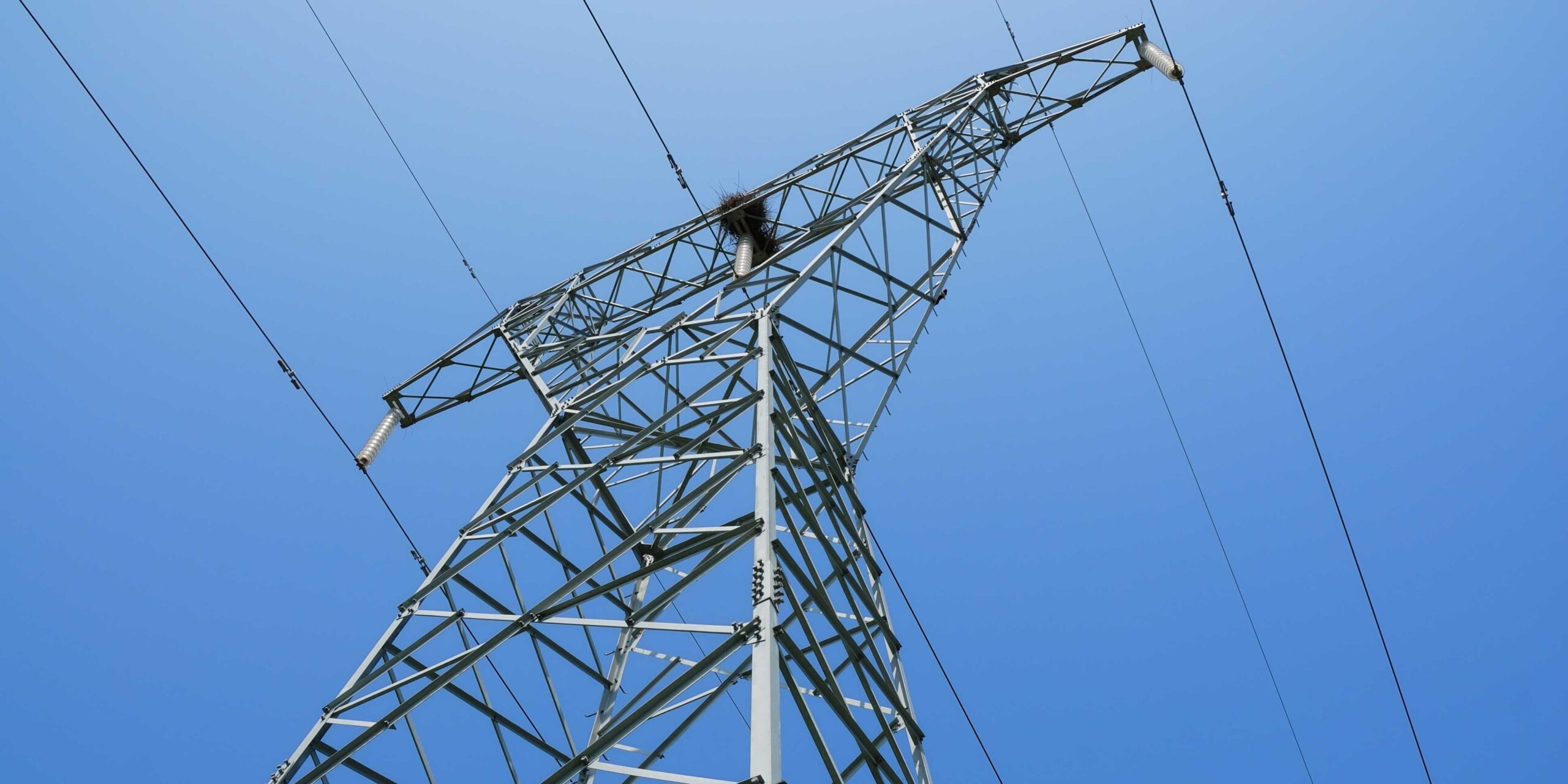 Electric Power Lines